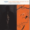 Najee Plays Songs from the Key of Life: A Tribute to Stevie Wonder