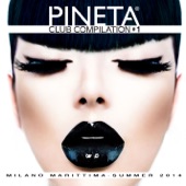 Pineta Club Compilation # 1 artwork