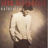 I Cried For You  - John Pizzarelli 