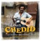 La belle - Louis Chedid lyrics