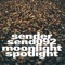 Moonlight - Benno Blome & Mijk van Dijk lyrics