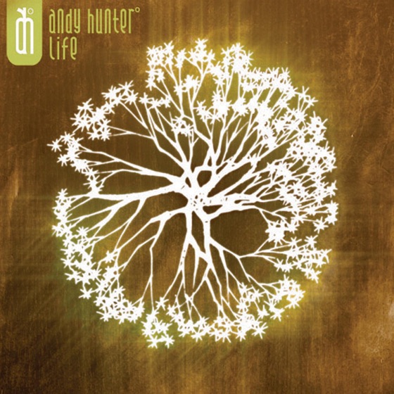 Cover artwork for Lifelight