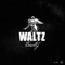 Waltz - BewhY lyrics