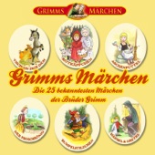 Grimms Märchen. Die 25 bekanntesten Märchen der Brüder Grimm artwork