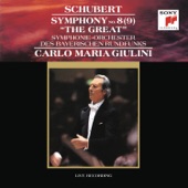 Schubert: Symphony No. 8 (9) in C Major, D. 944 "The Great" artwork