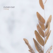Cloud Cult - Running With the Wolves