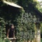 Neopolitan Dreams - Lisa Mitchell lyrics