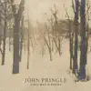 Christmas in Bruges - Single album lyrics, reviews, download