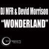 Wonderland - Single, 2012