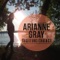 Fighting Chance - Arianne Gray lyrics