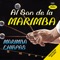 La Tortuga del Arenal - Marimba Chiapas lyrics