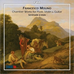 Sonja Prunnbauer & Johannes Tappert - Guitar Sonata, Op. 6, No. 2: II. Rondo: Allegretto