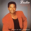 Leslie Vos - Mister Succes