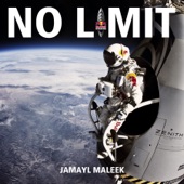 No Limit (Original) artwork