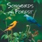 Everglades - John Grout lyrics
