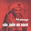 Luiz Gonzaga - São João na Roça
