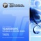 Teardrops (Technikal & Discam Remix) - Technikal lyrics