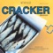 Mr. Wrong - Cracker lyrics
