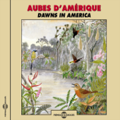 Le réveil de la jungle amazonienne au Vénézuéla (Awakening in the Amazonian Jungle) - Frémeaux Nature