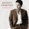 Happy Together - Donny Osmond lyrics