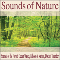 Robbins Island Music Group - Sounds of Nature: Sounds of the Forest, Ocean Waves, Echoes of Nature, Distant Thunder artwork