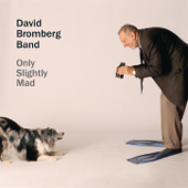 Only Slightly Mad - David Bromberg & The David Bromberg Band