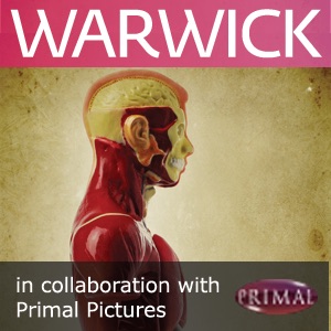 Clinical Anatomy cover