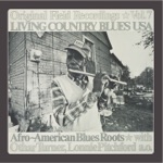 Living Country Blues USA, Vol. 7 - Afro-American Blues Roots