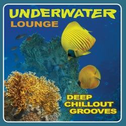 Sun & Soul Shades - Dawn (Nardis Brazilectro Mix)