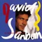 Chicago Song - David Sanborn lyrics