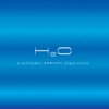 H2O