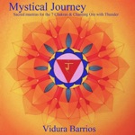 Vidura Barrios - The Celestial Sound of the Tamboura for Meditation