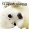 The Silence of Innocence (Animal Rights) - Danny Darko lyrics