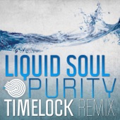 Purity (Timelock Remix) artwork