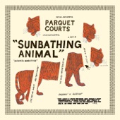 Parquet Courts - Instant Disassembly