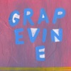 GRAPEVINE