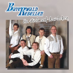 Bayerwald Rebellen - Boarischer Kirwasong