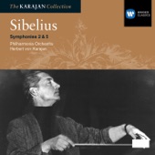 Sibelius: Symphonies 2 & 5 artwork