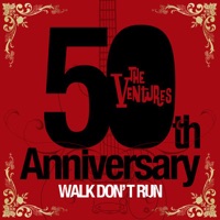 北国の青い空 The Ventures ザ ベンチャーズ のカバー曲は