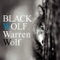Maiden Voyage - Warren Wolf lyrics