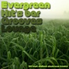 Evergreen Hit's Bar Grooves Lounge (20 Best Chillout Electronic Tracks), 2012