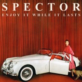 Never Fade Away by Spector