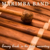 The Emory Cook "In the Field" Recordings artwork
