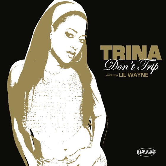 Cover artwork for Don't Trip (Amended Album Version)