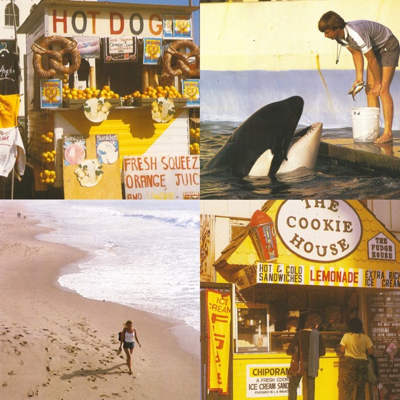 Cover artwork for Something In the Way