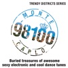 Trendy Districts: Monte Carlo - 98100 - Buried Treasures of Awesome Sexy Electronic and Cool Dance Tunes artwork