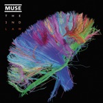 Muse - Madness