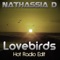 Lovebirds (Hot Radio Edit) (feat. Omar Salinas) - Nathassia lyrics