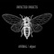 The Virus That Causes Dengue Fever - Animal / Object lyrics