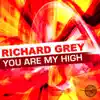You Are My High (Remixes) album lyrics, reviews, download